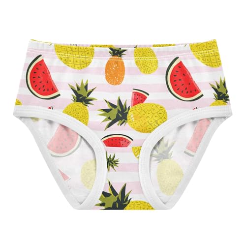 Yellow Pineapples Watermelon Toddler Girls's Underwear 2T 202c1753