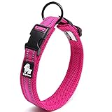 J&C Paradise 定番 犬首輪 日本正規店 犬用首輪 軽い 3M反射 メッシュ おしゃれ 人気 痛くない ソフトパッド 通気性 丈夫 簡単装着 TRUELOVE (ピンク, ‎S)
