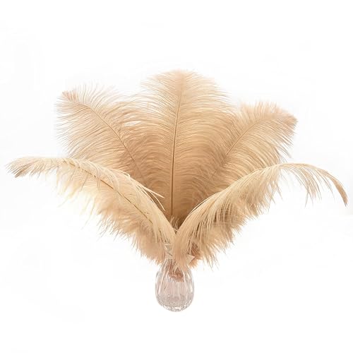 Ballinger Champagne Ostrich Feathers Bulk - 12pcs 10-12inch Boho Feathers for Vase and Home Decor Wedding Party Centerpieces(Champagne)