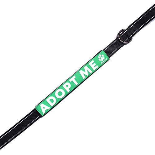 Max and Neo Leash Sleeves Adopt ME (Green/Double)