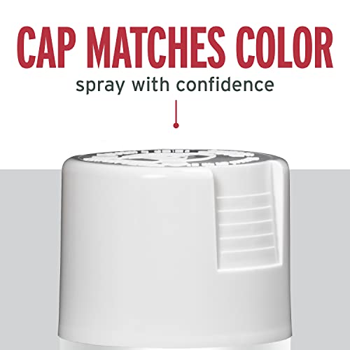 Rust-Oleum 250702 Stops Rust Spray Paint, 12 oz, Gloss Pure White