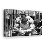 Blaze Canvas Arnold Schwarzenegger Bodybuilding Canvas Art Wall Art Home Decor (24in x 18in Gallery...