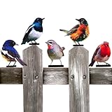 Generico Decoraciones De Cerca - Hierro, Como Se Muestra De Jardín De Topper De Cerca Antióxido | Siluetas Decorativas De Metal Al Aire Libre Montables En Pared, Estatuas De P