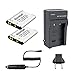 Bonadget 2 Pack 1000mAh Power Battery and Charger for Nikon EN-EL19 Coolpix S3100 S3700 S7000 and More