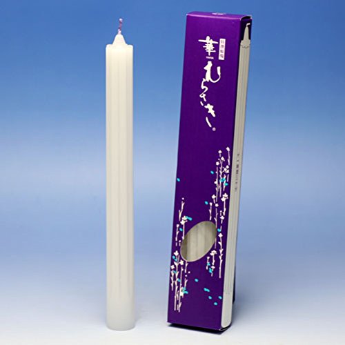 ؂ނ炳@30@2{@RĎԖ1130@{