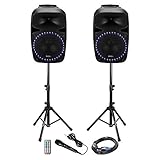 1 aktiver 12 Zoll/30cm Lautsprecher | 1 passiver 12 Zoll/30cm Lautsprecher