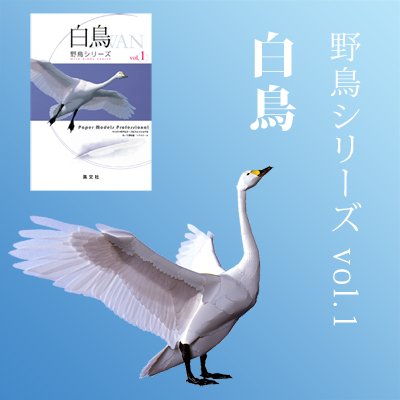 Amazon | ペーパーモデルズ フィギュア☆プロフェッショナル野鳥