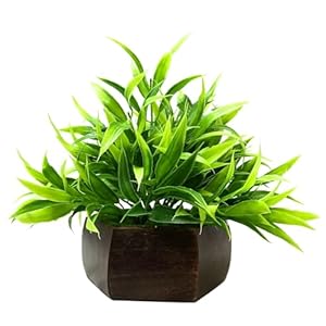 fancymart Artificial Bamboo Leaves Plant in Wood Hexagon Pot – 20cm Height – Home & Office Decor Elegant Potted Plant for Tabletop Enhancement