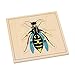 Elite Montessori Wasp Puzzle