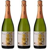 Massard, Mas Sardana Cava Brut Nature, NV (Case)