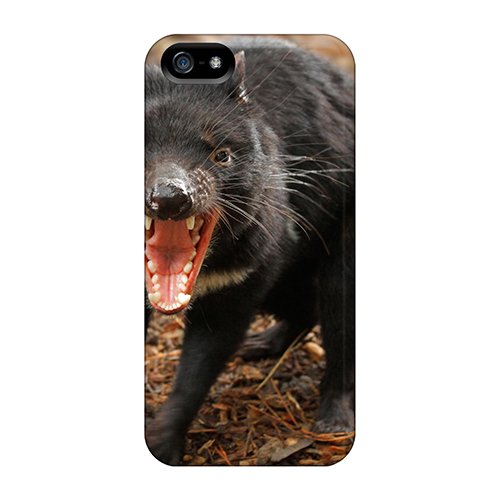 Battlefield - Die Schlacht um Italien (Kampfschauplätze des 20. Jahrhunderts - Eine historische Dokumentation) [VHS]