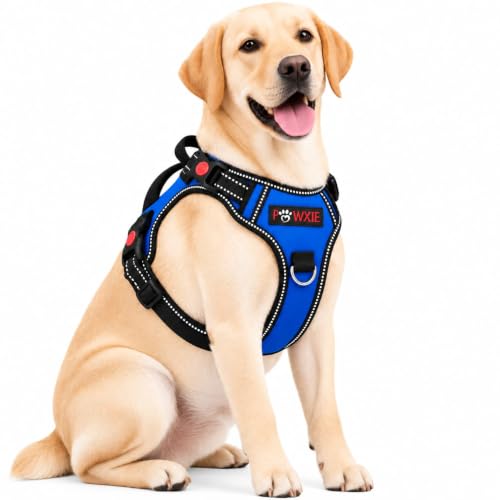 Image of No Pull Dog Chest Belt Harness, Comfortable & Adjustable Size for 35+ Kg Pet (Blue, Extra-Large)