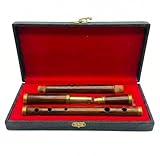 Flauta irlandesa D de palisandro con funda, cuatro piezas, instrumentos musicales de viento