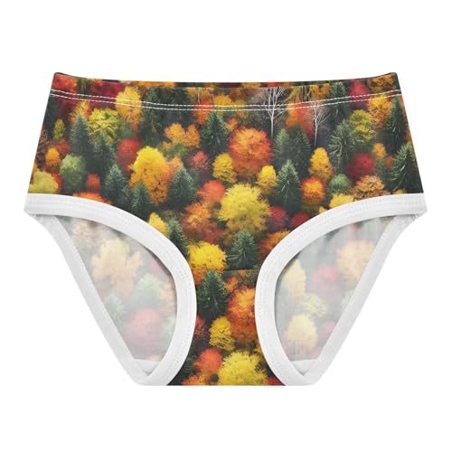 Autumn Forest Colors Girls Underwear Toddlers 2t Cotton Cute Panties Girl Funny Kids Undies Briefs