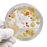 Steve Spangler's Growing Bacteria Science Experiment Kit