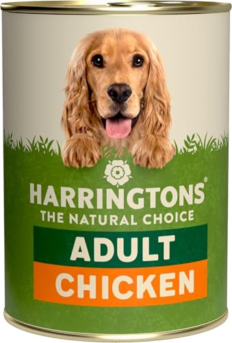Best Inexpensive Wet Dog Food