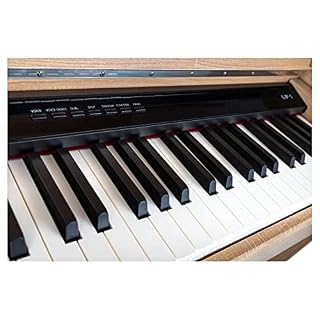 Classic Cantabile UP-1 LA Piano Droit Numérique – 88 Touches pondérées avec clavier à marteaux – Synthetiseur avec USB… - Les Beatles, Paul McCartney, John Lennon, RIngo Starr, George Harrison Classic Cantabile UP-1 LA Piano Droit Numérique - 88 Touches pondérées avec clavier à marteaux - Synthetiseur avec USB… – Image 6