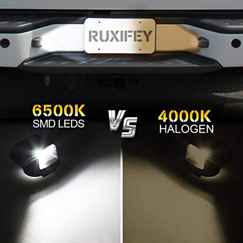 Ruxifey Led License Plate Lights Rear Lamp Lens Assembly Replacement Compatible With Frontier Titan Xterra Armada Suzuki Equator #TOP4