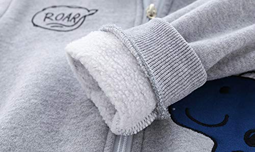 Toddler Girl Jackets Toddler Kids Baby Boys Cartoon Dinosaur Printed Zipper Hoodie Jacket Coats (Grey, 4-5 Years)2