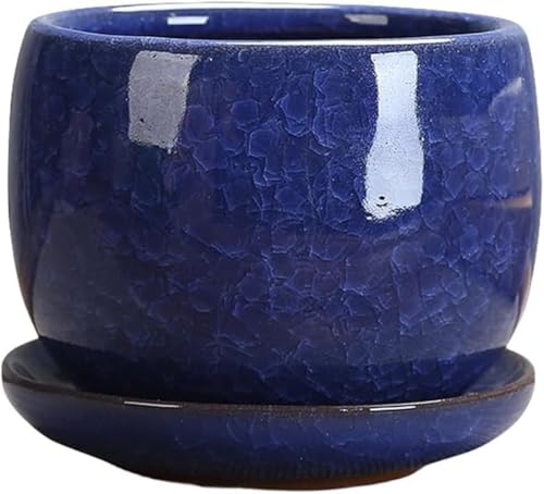 SLLS Aؔ ~`v^[ rt + 󂯎M An[uT{ep ^CeA 㕗fUC (Medium,_[Nu[)