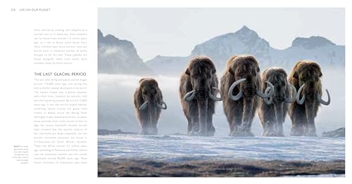 Life on Our Planet: A Stunning Re-Examination of Prehistoric Life on Earth