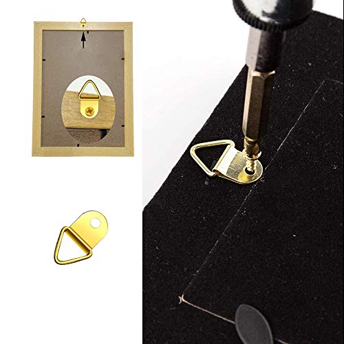 kuou 100 Pcs D Rings Picture Hanging, Small Photo Frame Hooks Hangers, Canvas Hook Wall Bracket Hanger with Screws(Stainless Steel/Golden)