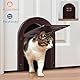 Wordcam Katzentür Innentür, 2-Wege-Verriegelung für den Innenbereich für Katzen bis zu 9 kg, Haustiertüren für Katzen, Kätzchen und kleine Hunde (Braun)