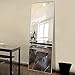 NeuType Full Length Mirror Standing Hanging or Leaning Against Wall, Large Rectangle Bedroom Mirror Floor Mirror Dressing Mirror Wall-Mounted Mirror, Aluminum Alloy Thin Frame, Silver, 65