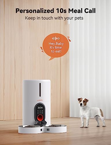 Wopet Automatic Cat Feeders For 2 Cats - Automatic Cat Food Dispenser With Two Stainless Bowls, 6 Meals Per Day For Cat And Dog, Automatic Dog Feeder With 10S Voice Recorder & Timer Setting, White #TOP3