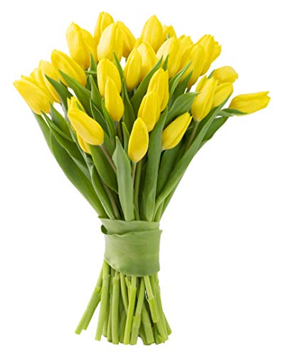 Blooms2Door Prime Next Day Delivery - Wedding Collection - 30 Yellow Tulips (Farm-Fresh Flowers And Homegrown In The Usa) I Gift For Birthday cover