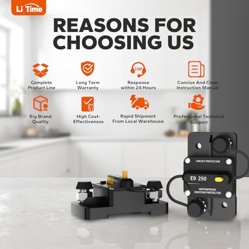 Image of LiTime 250A Circuit Breaker 12V-48V DC, M10 (3 /8 inch) Post Size, Surface Mount