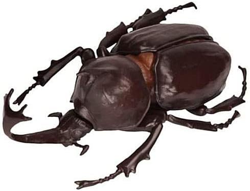 Amazon 昆虫の森 世界のカブトムシ対抗戦 2 カブトムシ 茶色 単品 通販