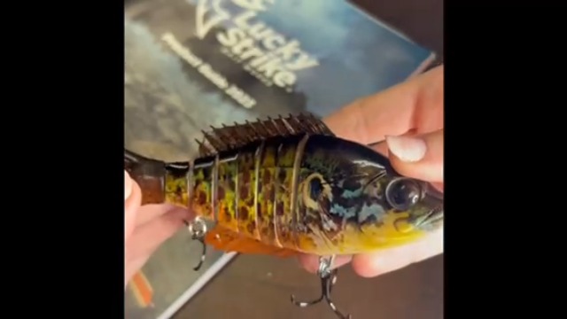 Leurre de pêche au tigre de feu - France