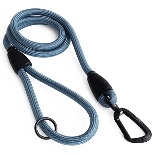 Made To Roam Premium Everyday Leash - Ultra Soft Dog Leash With Aviation Aluminum Carabiner For Small, Medium, Large Dogs - California Horizon, 4Ft (Rubber Coated Metal Clamps) #TOP1