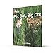 Pet Cat, Big Cat: Red / Band 2A (Collins Big Cat)