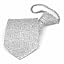 Pale Silver Darlene Paisley