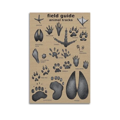 ECRAN 22 Samsung S32GF 1920x1080 IPS 16:9 120Hz 250cd/? 5ms 2xHDMI Neuf - vue 3