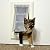 Endura Flap Cat Door for Doors | Ideal for Cats and Small Dogs | Energy Efficient Pet Entry with Secure Locking Cover | Premium Quality Aluminum Frame | Made in The USA | Black, Small Flap