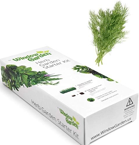 Window Garden - Dill Herb Starter Kit - Grow Your Own Food. Germinate Seeds on Your Windowsill. Move to a Patio Planter or Vegetable Patch. Mini Greenhouse System Make’s it Foolproof, Easy and Fun.