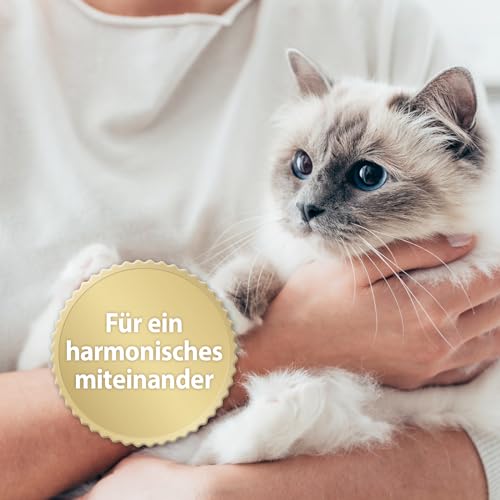 Felisept Home Comfort Beruhigungshalsband - Beruhigungsmittel für Katzen - Katzen Beruhigungsmittel mit natürlicher Katzenminze & ohne Pheromone Katzen
