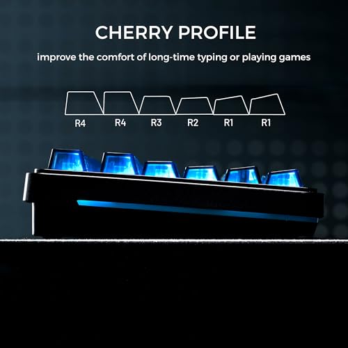 Image of HITIME XVX Black Clear Keycaps, Transparent Keycaps 60 75 100 Percent, Ceramic Keycap Style, Shine Through Keycap, Cherry Profile Keyboard Keycap Set for MX Switches Mechanical Keyboard, 119 Keys