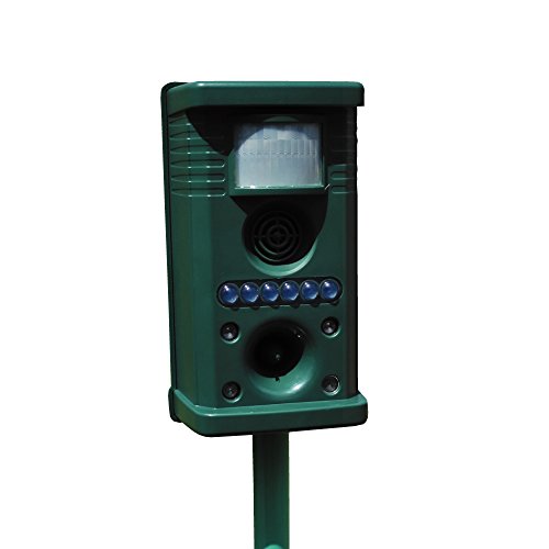 悯 bQ g   \[[Aj}oCoC 1 bQ΍ Qb ؉