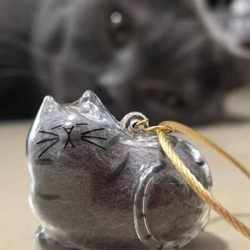 Frundoo Schlüsselanhänger mit Katzenhaar Aufbewahrungsflasche, 6 Pcs Katzenhaar-Schlüsselanhänger, Cat Hair Memorial Capsules Schlüsselbund, Transparente Katzenhaarspeicherbox, Tierhaar Anhänger