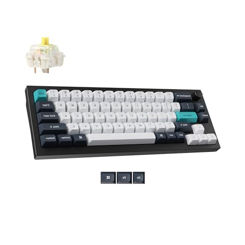Image of Keychron Q2 Max Wireless Custom Mechanical Gaming Keyboard, QMK /VIA Programmable Knob 2.4 GHz /Bluetooth 5.1 /Wired, 65% Compact RGB Hot-Swap with Gateron Banana Switch for Mac Windows Linux - Black