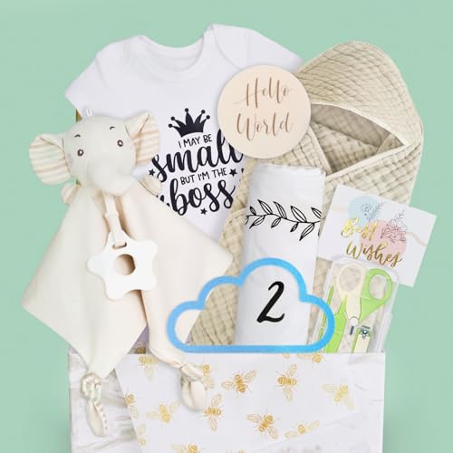 8Pcs Gender Reveal Gifts, for Newborn Boys, Baby Boy Gift