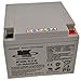 MK Battery 12260SLDY Battery