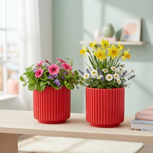 Image of Xtore 2Pc Striking Ribbed Red Ceramic Planter Pot for Indoor Plants & Bonsai Styling | Compact Round Design for Tabletop, Shelf & Desk Decor (Red, Pack of 2 - Planters only)
