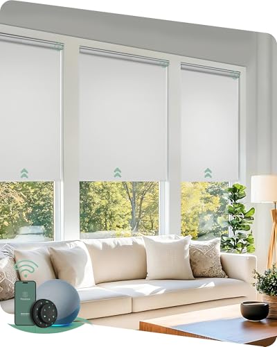 Yoolax Motorized Roller Shades