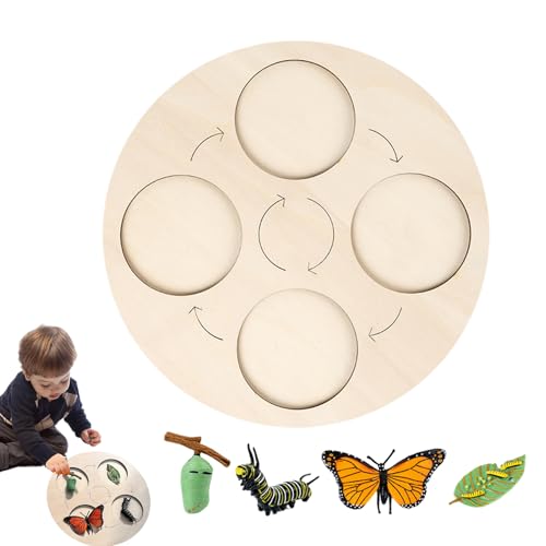 Découverte scientifique sur la poule et les insectes avec ce puzzle cycle de vie interactif