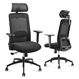 MUIGELS Ergonomic Office Chair - High Back Computer Desk Chair with Adjustable Lumbar Headrest Arms
